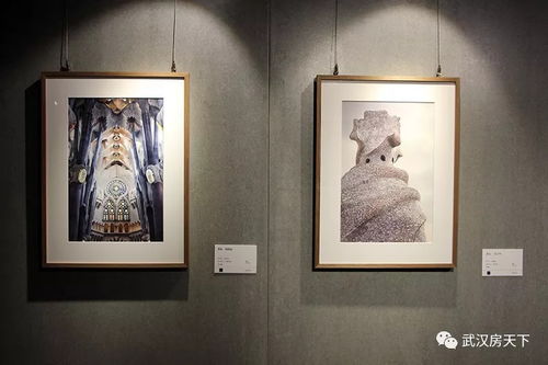 西蒙 中國 合作藝術(shù)家邀請展 西班牙風(fēng)景畫展開幕